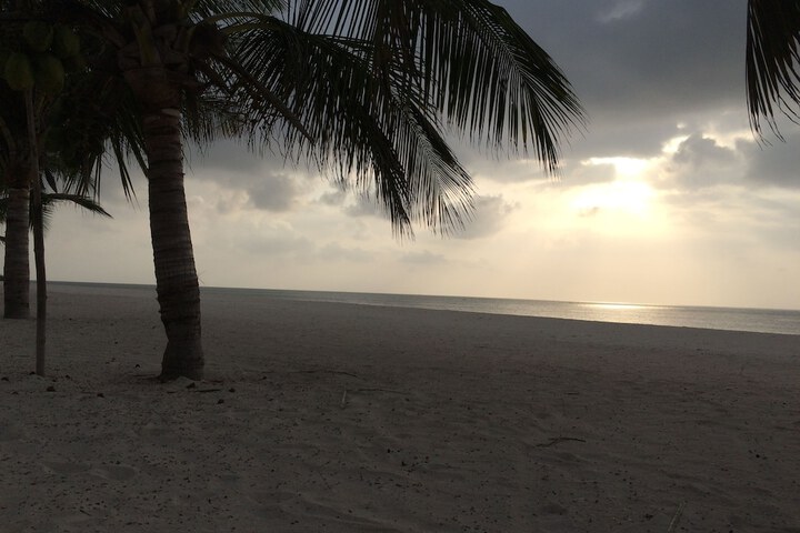 Beach 87 of 138