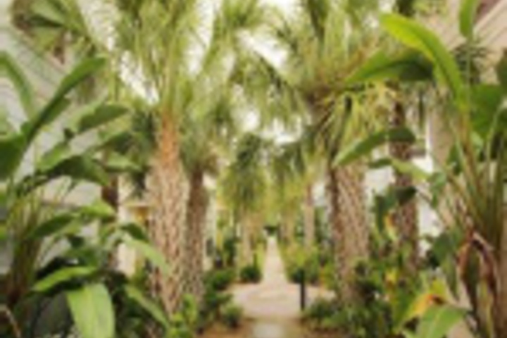 Hotel Exterior 13 of 323