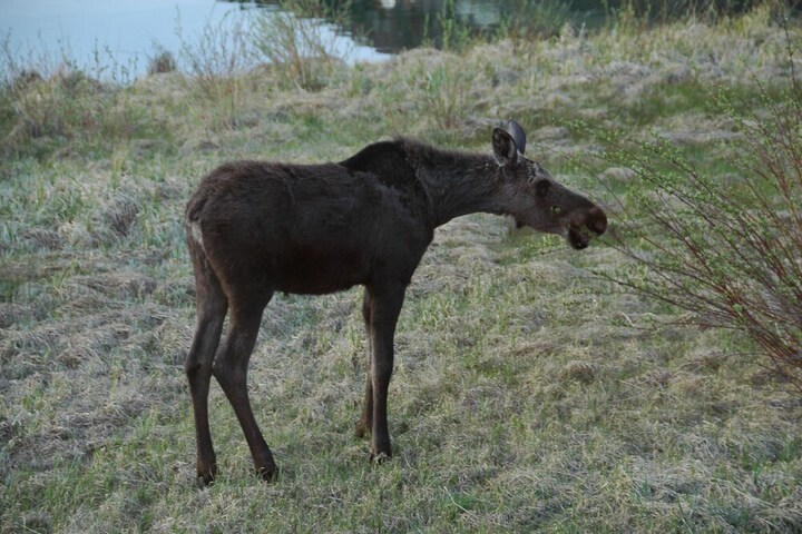 Property Grounds 33 of 44