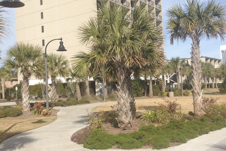 Property grounds