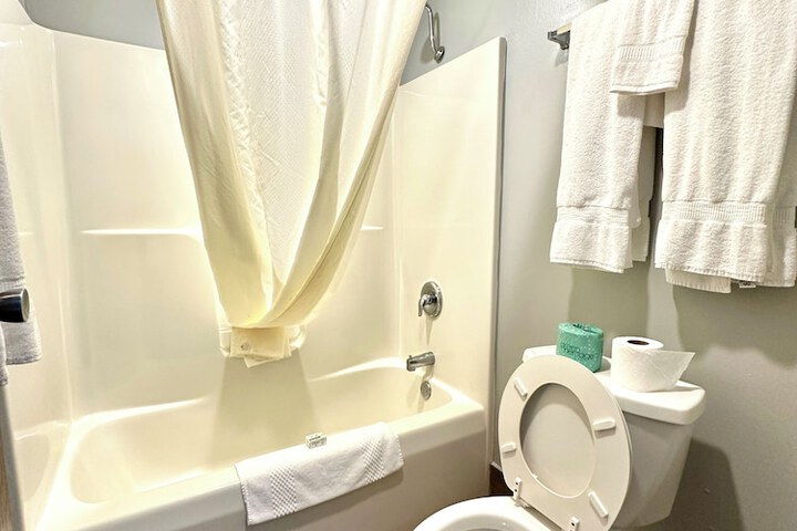 2 Queen Beds Mobility Accessible Bathtub with Grab Bars (8 of 10)