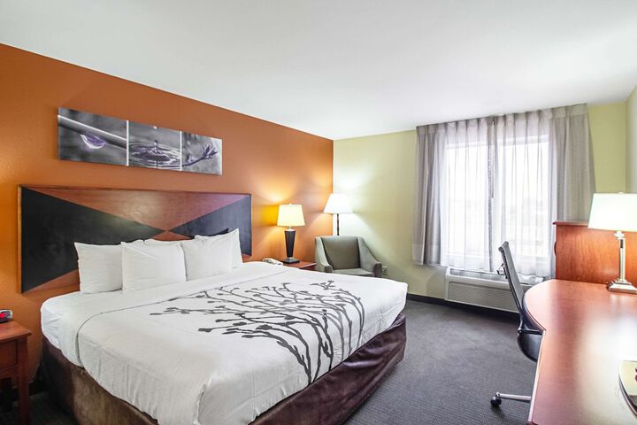 1 King Bed (3 of 15)
