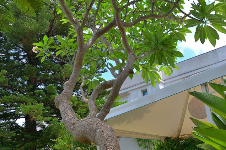 Hotel Exterior 54 of 56