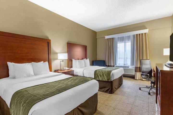 Standard Room, King or Two Doubles (2 of 10)