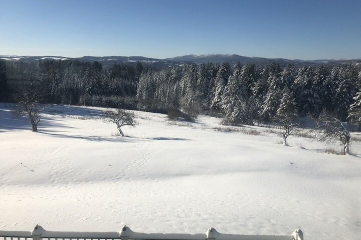 Hotel View 87 of 91