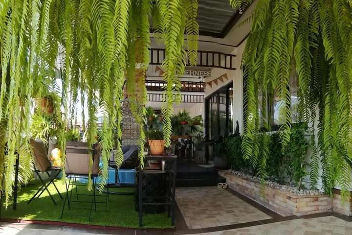 Terrace/Patio 56 of 59