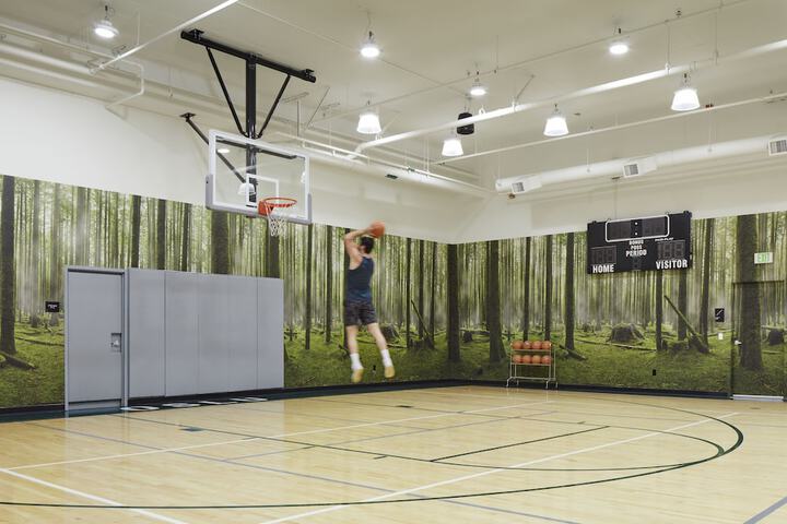 Basketball court