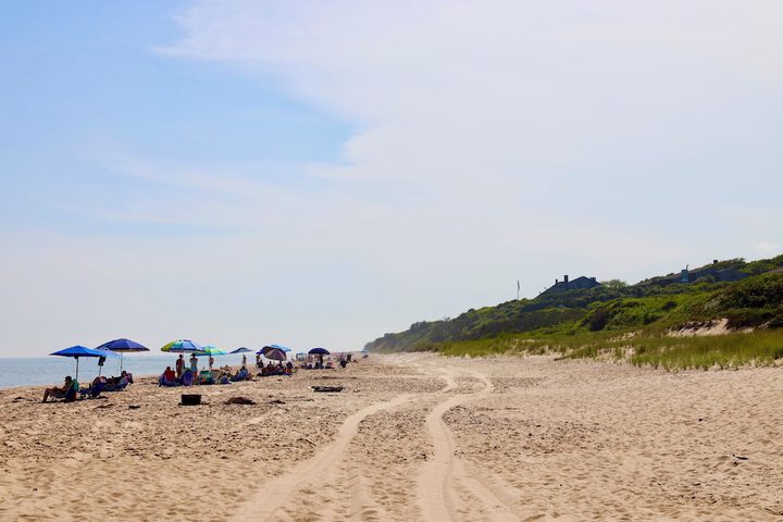 Beach 60 of 85