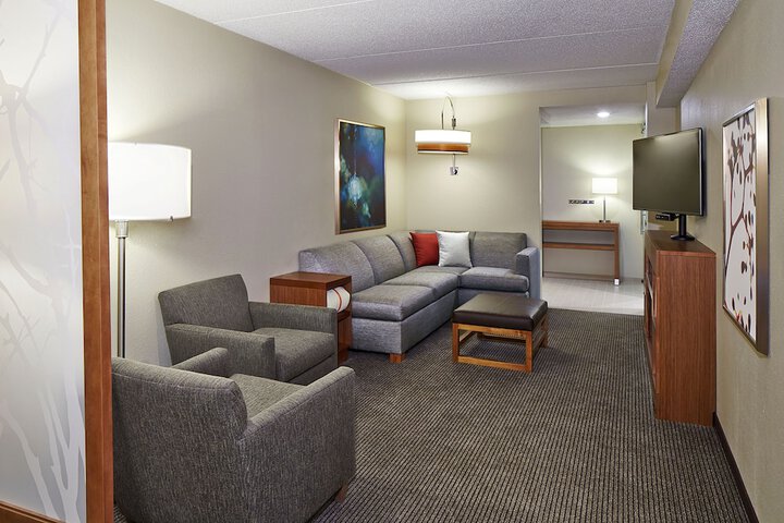 1 King Bed Sofa Accessible (10 of 13)