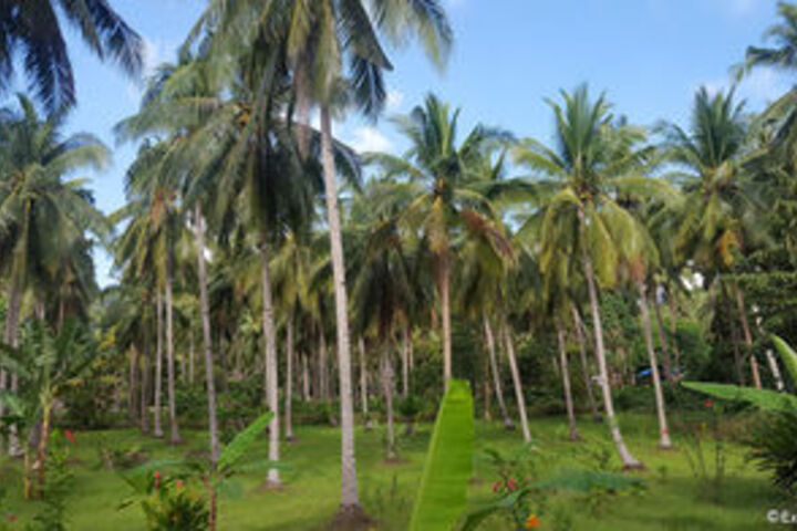 Property Grounds 25 of 28