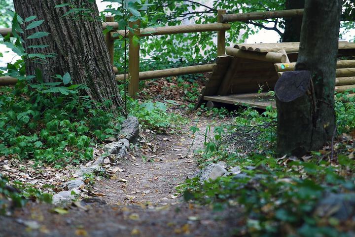 Property Grounds 42 of 71
