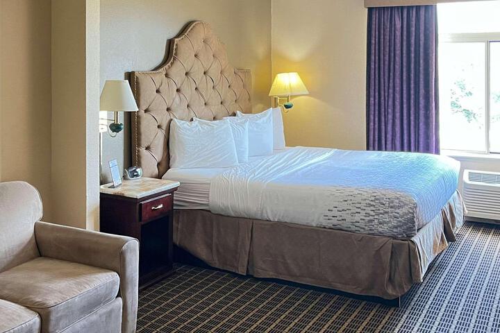 1 King Bed Accessible (1 of 15)