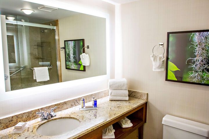 Bathroom shower