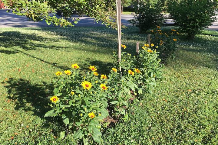 Hotel Exterior 32 of 37