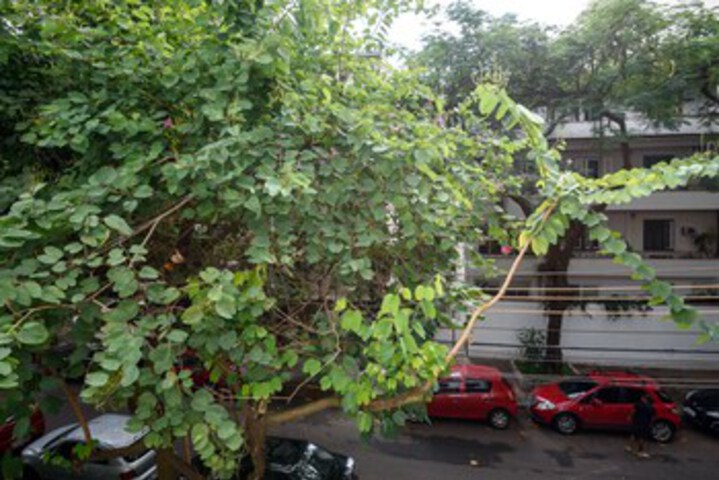 Hotel View 32 of 32