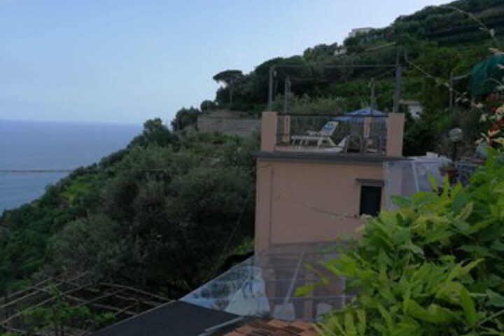Terrace/Patio 106 of 107