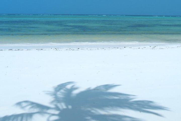 Beach 60 of 71