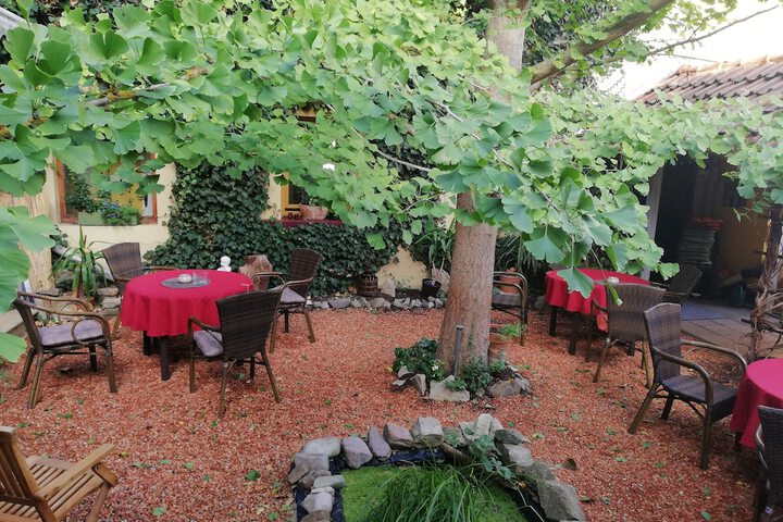 Terrace/Patio 13 of 26