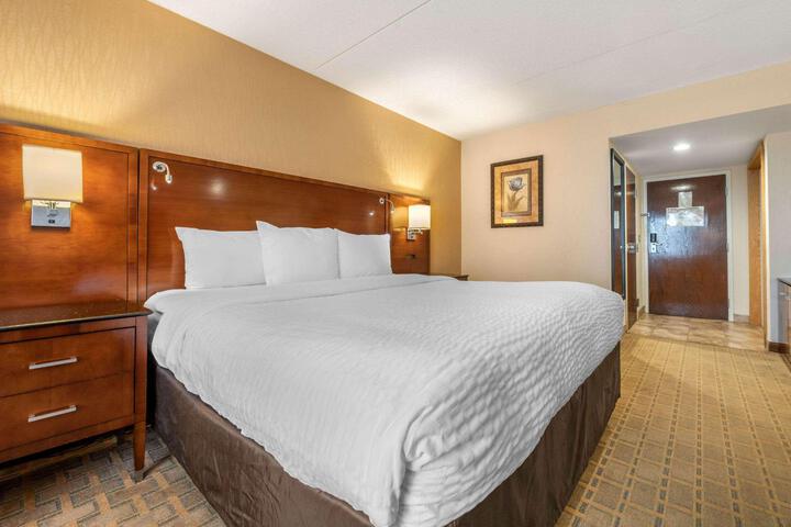 1 King Bed (11 of 19)