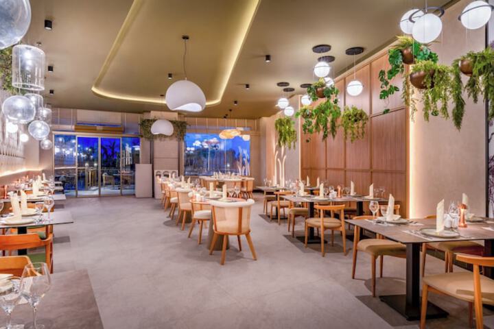 Dining 85 of 146
