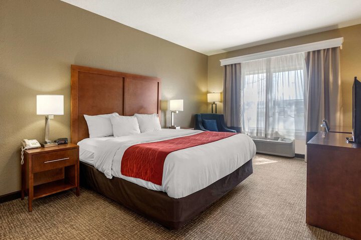 1 King Bed Accessible (8 of 18)