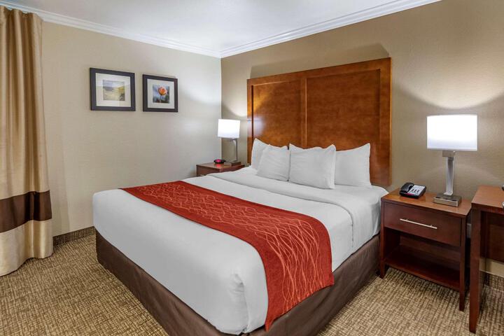 1 King Bed (16 of 20)