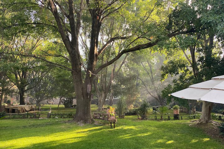 Magnolias Jardin & Boutique Suites