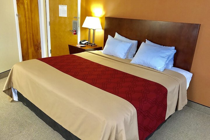 1 King Bed (4 of 9)