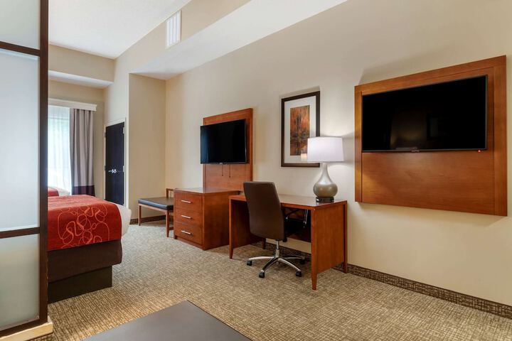 1 King Bed Suite (4 of 14)