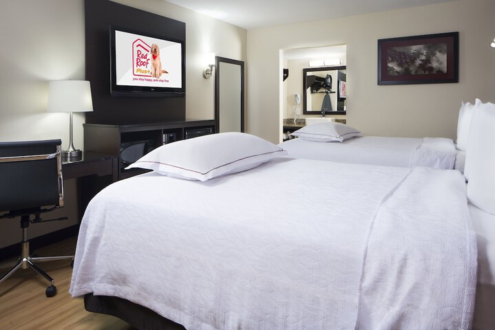 Deluxe 2 Double Beds (6 of 7)