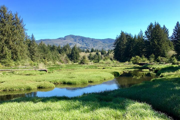 Outdoor Activities 24 of 51