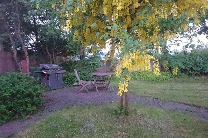 Property Grounds 44 of 48