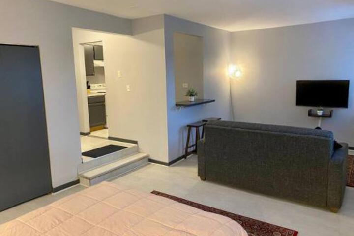 Discover North Side Chicago from Modern Studio APT in Chicago, IL