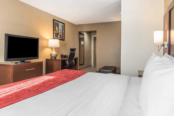 Suite 2 Queen Beds (14 of 17)