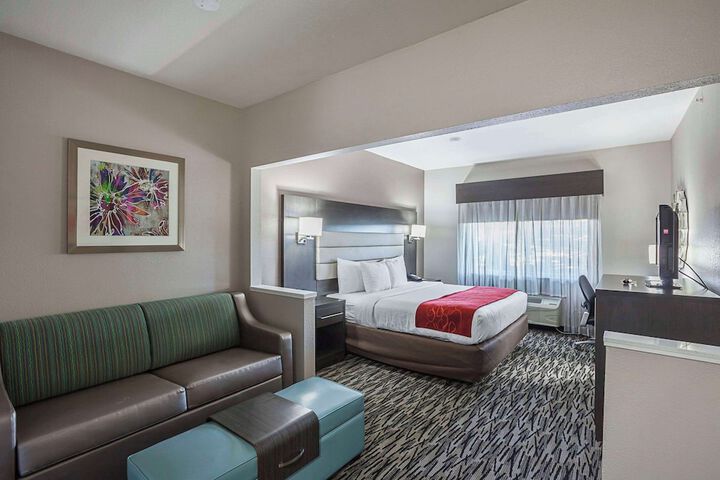 1 King Bed Suite (17 of 21)