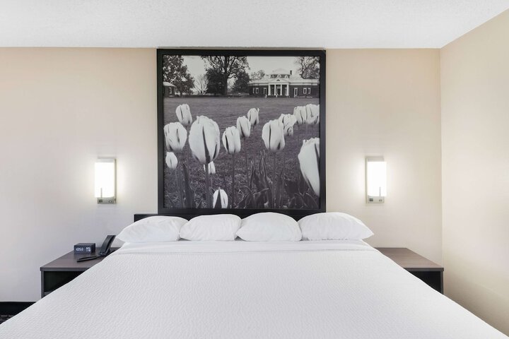 1 King Bed (9 of 12)