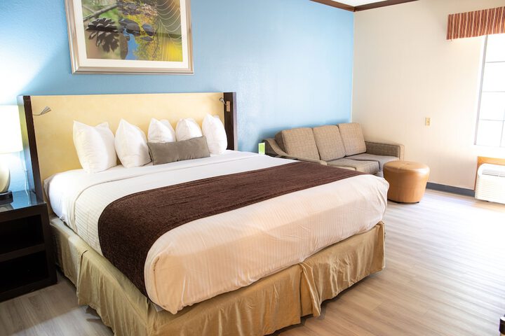 Deluxe King Bed (10 of 22)
