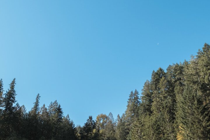 Property Grounds 34 of 46