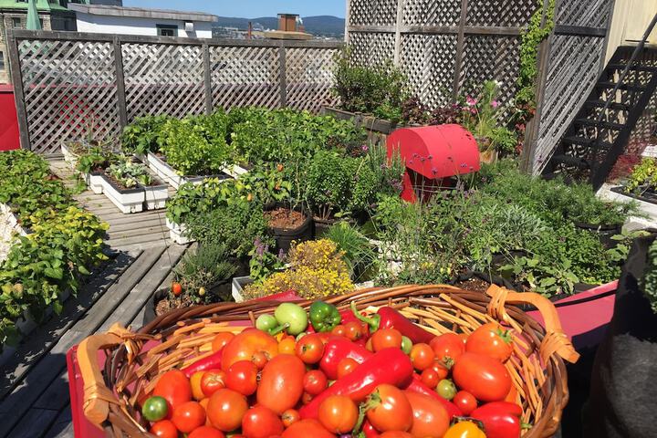 Hotel Exterior 61 of 63