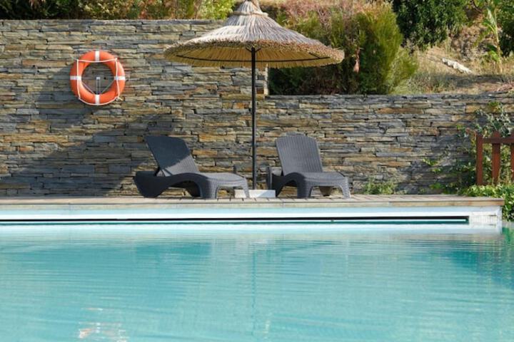 Pool 19 of 51