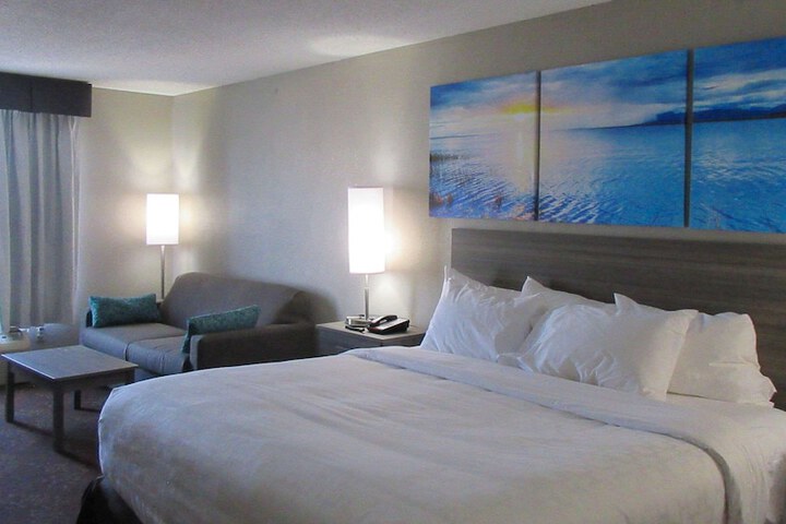 1 King Bed Accessible (16 of 20)