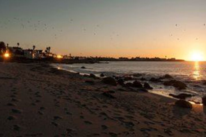 Beach 10 of 41