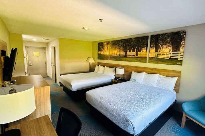 1 King Bed (2 of 19)