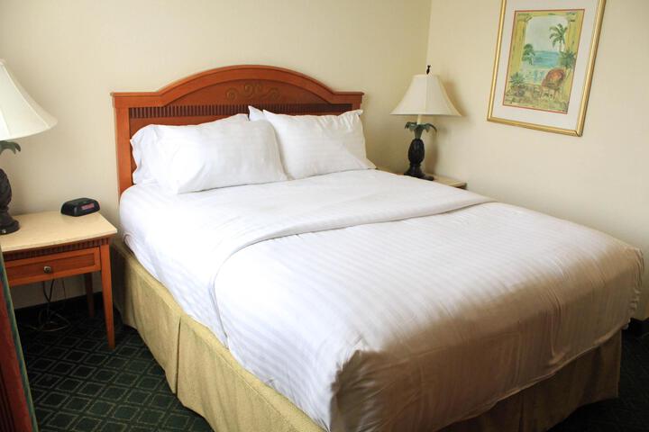 Standard Queen Bed Accessible (3 of 5)