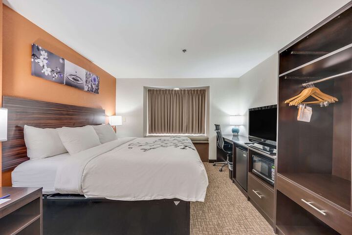 1 King Bed Suite (2 of 9)
