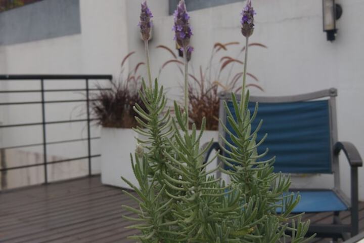 Sundeck 37 of 38