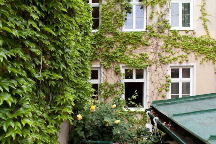Hotel Exterior 42 of 50