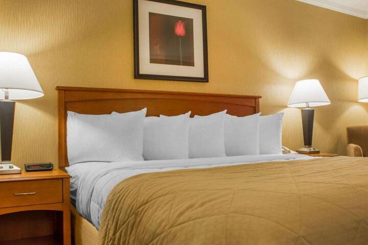 1 King Bed (9 of 12)