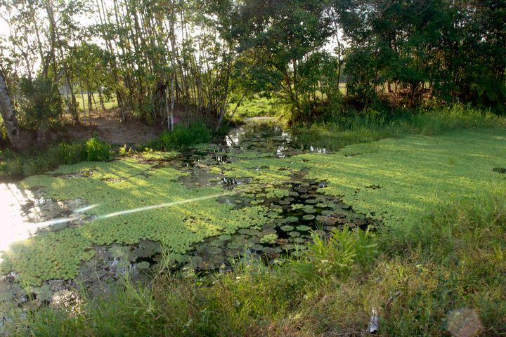 Property Grounds 28 of 39