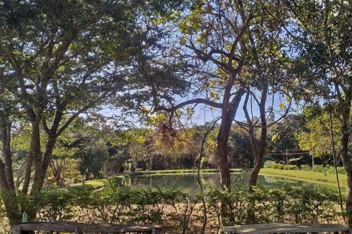 Property Grounds 50 of 67